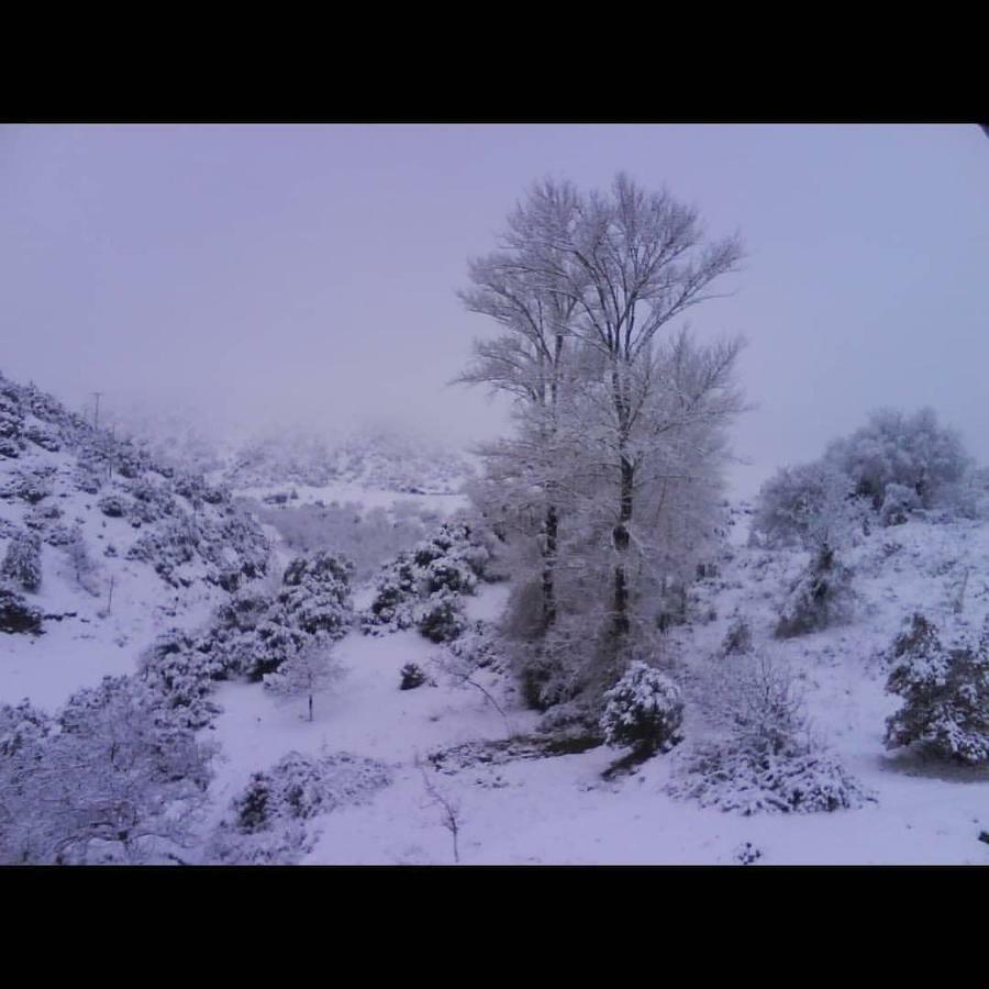 Villa Agno - Βίλα Αγνώ Ano Karies Eksteriør bilde